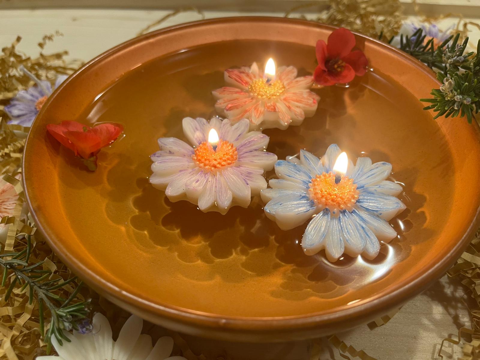 Petali sull'acqua - Margherite galleggianti