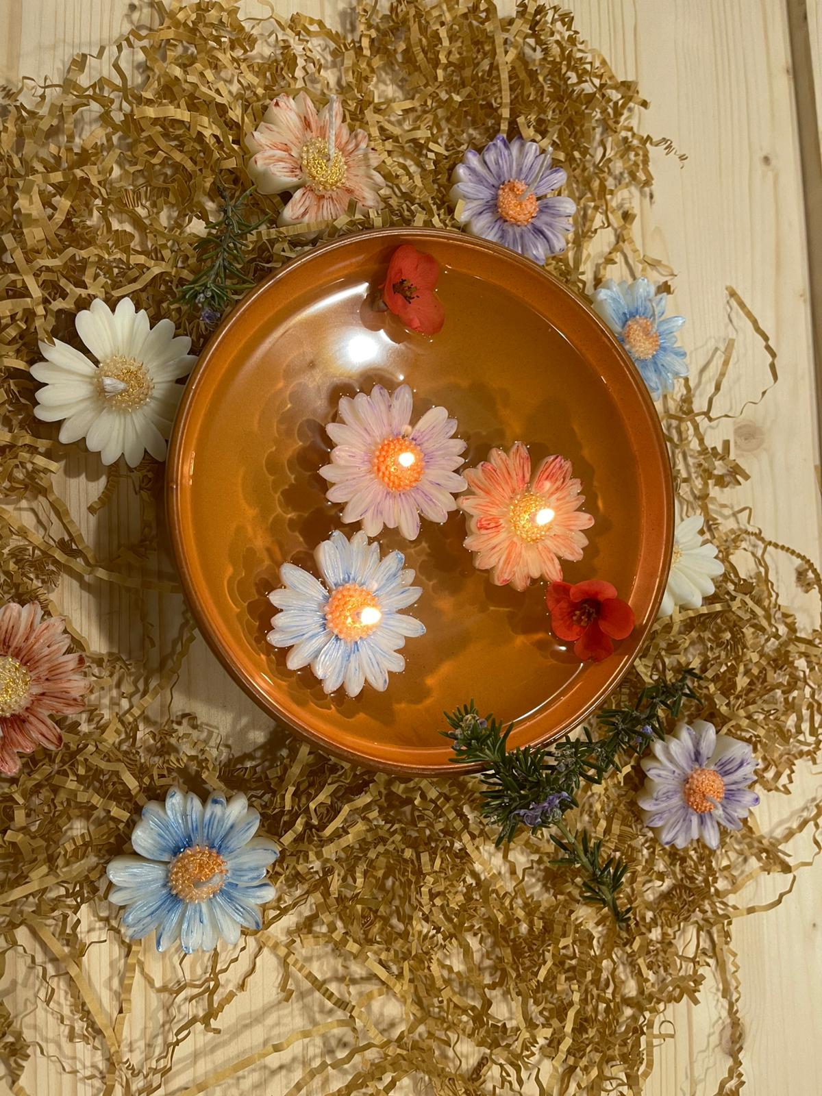 Petali sull'acqua - Margherite galleggianti