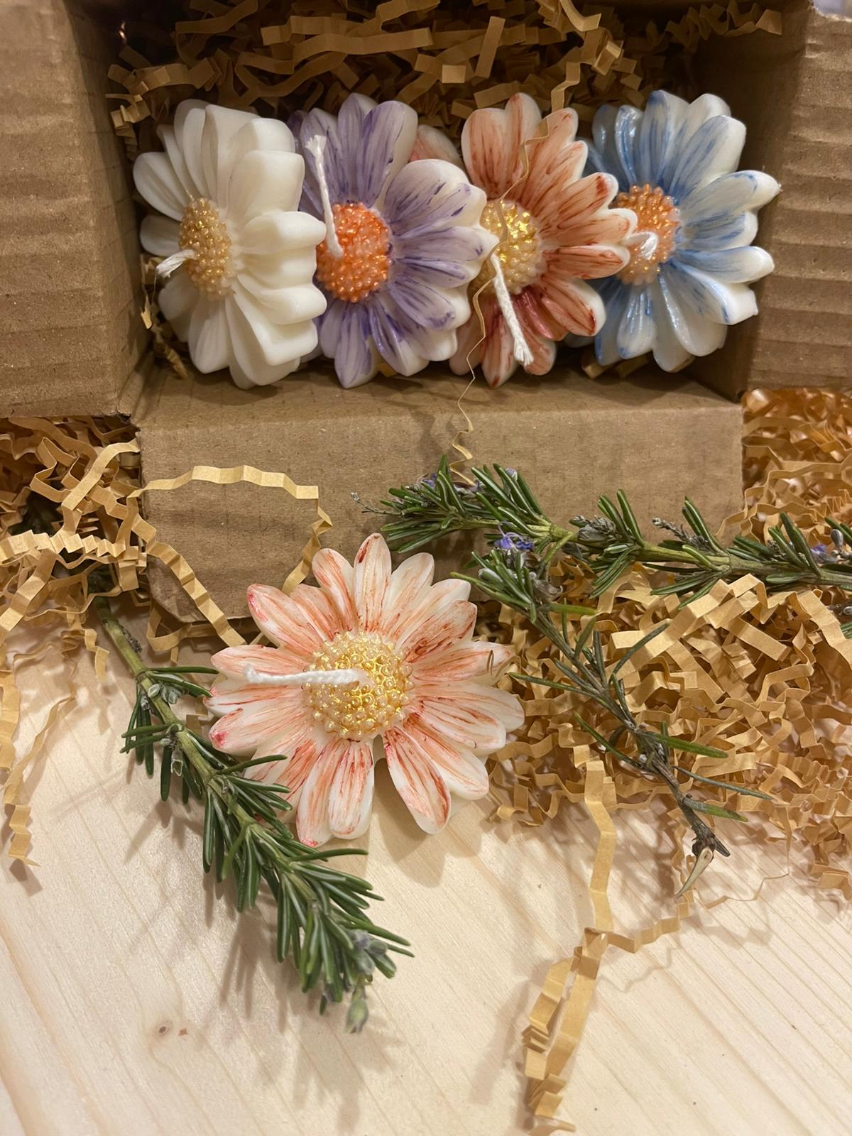 Petali sull'acqua - Margherite galleggianti